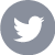 Twitter Logo